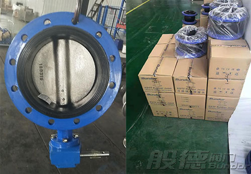 洛陽(yáng)某公司采購(gòu)般德法蘭蝶閥和橡膠接頭