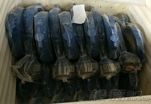 般德渦輪蝶閥、止回閥、過濾器等出口以色列