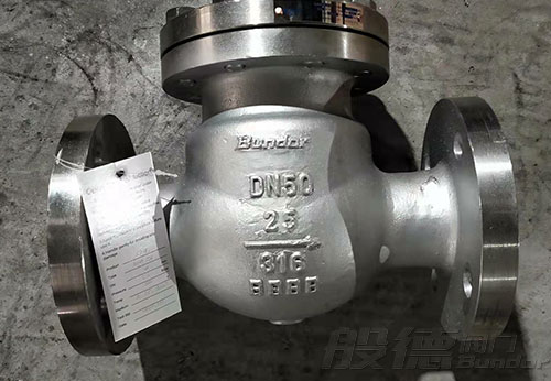 般德不銹鋼截止閥、旋啟式止回閥出口南非