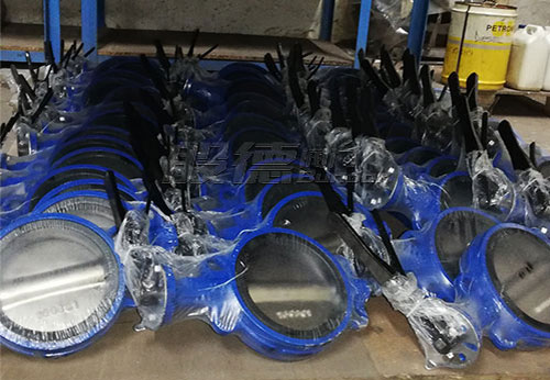 般德對(duì)夾蝶閥、刀閘閥等產(chǎn)品出口南非