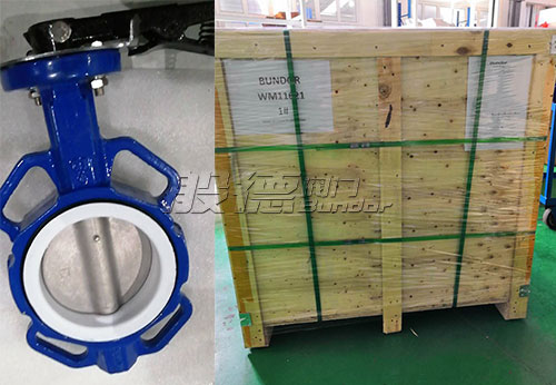 般德對(duì)夾蝶閥、蝶式止回閥出口阿根廷