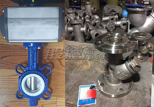 印尼客戶從般德采購(gòu)蝶閥、止回閥、球閥等