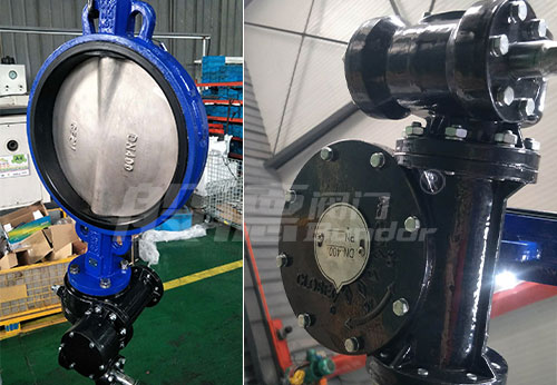 般德蝶閥、蝶式止回閥等出口秘魯