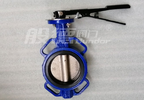 般德蝶閥、止回閥、閘閥產(chǎn)品出口柬埔寨