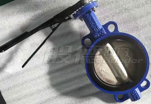 般德手柄蝶閥、軟密封閘閥等產(chǎn)品出口南非