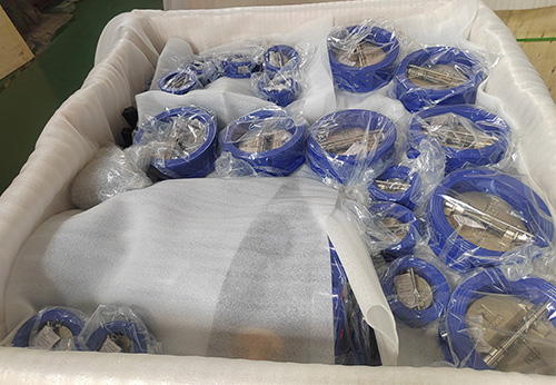 意大利某公司采購般德般德閥門止回閥、蝶閥產(chǎn)品